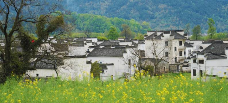 黄山昱城皇冠假日酒店图片