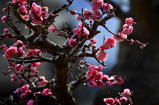 山海关58号民宿(秦皇岛山海关站店)图片