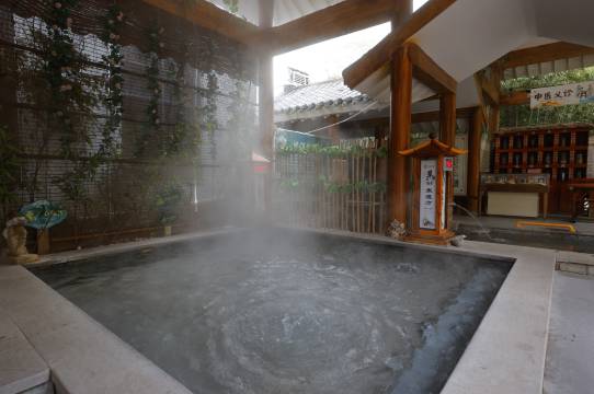 洛阳凤翔温泉酒店(龙门高铁站店)图片