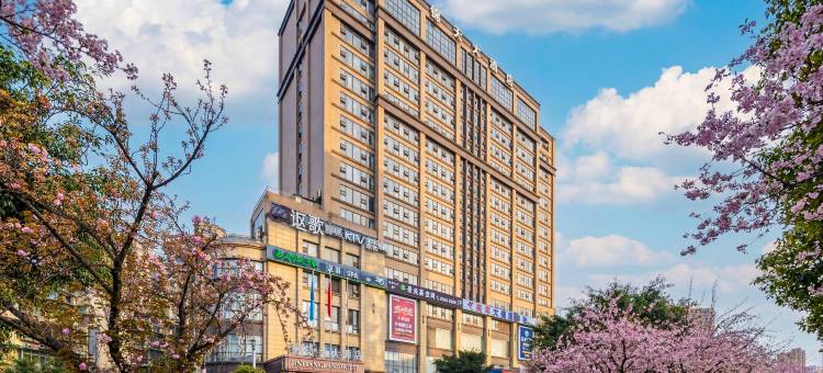 锦天大酒店(邛崃鼎盛时代广场店)图片