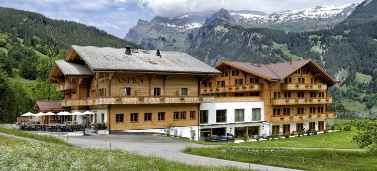 阿斯彭阿尔卑斯休闲酒店(Aspen Alpin Lifestyle Hotel)图片