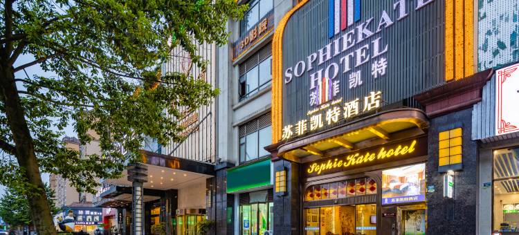 雅安苏菲凯特酒店图片