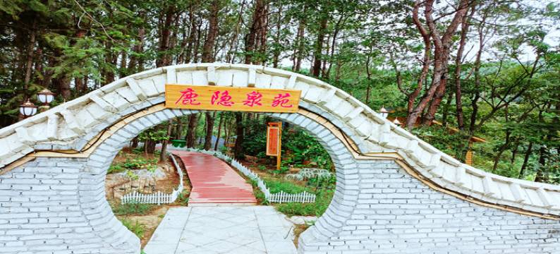 旭日·鹿隐泉苑私汤木屋民宿图片