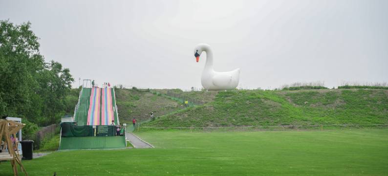 上海大千天鹅湖庄园图片