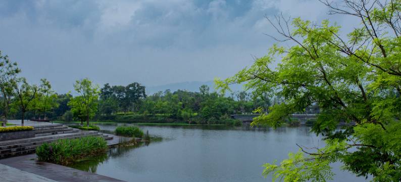 垫江多福乐酒店(高铁站店)图片