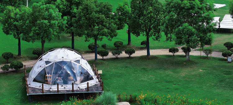 郁金香乐活旅居公寓图片