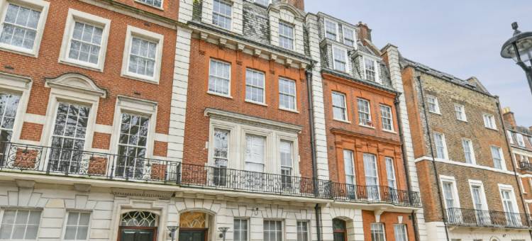 梅费尔 – 彼得森之家(Mayfair- Peterson House)图片