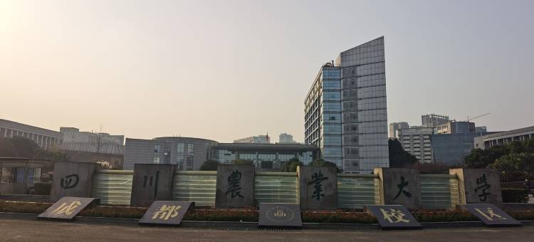 她鄉民宿图片