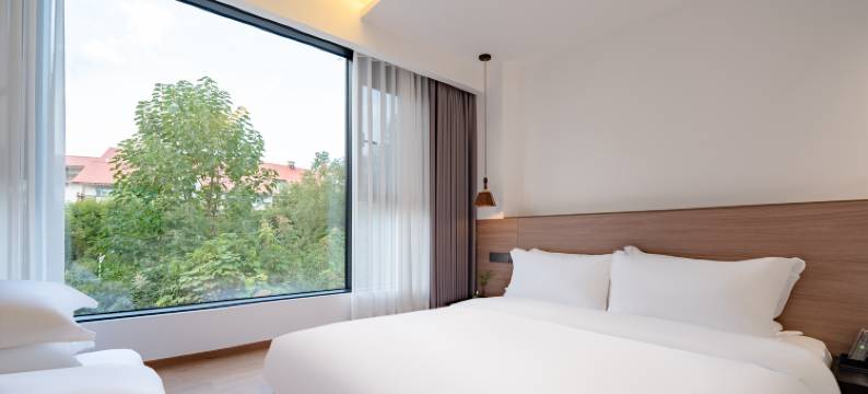 花筑·云隐茶径·望山观云·茶文化民宿(武夷山三姑度假区店)图片