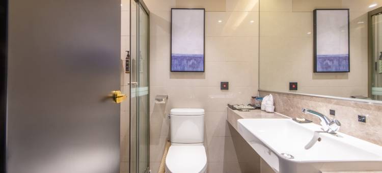 广州西关永庆坊中山八路地铁站希岸Deluxe酒店图片