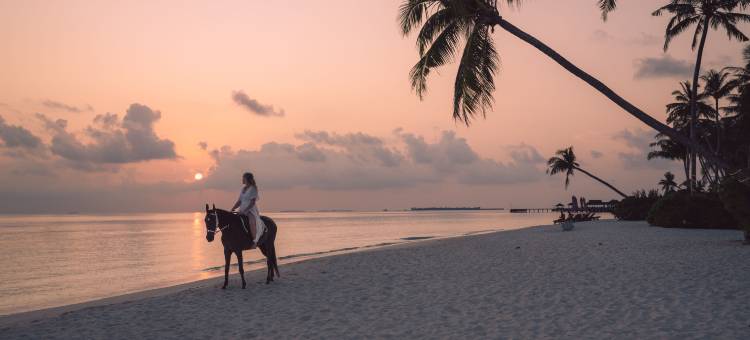 马尔代夫禧亚世嘉岛酒店(Siyam World Maldives)图片