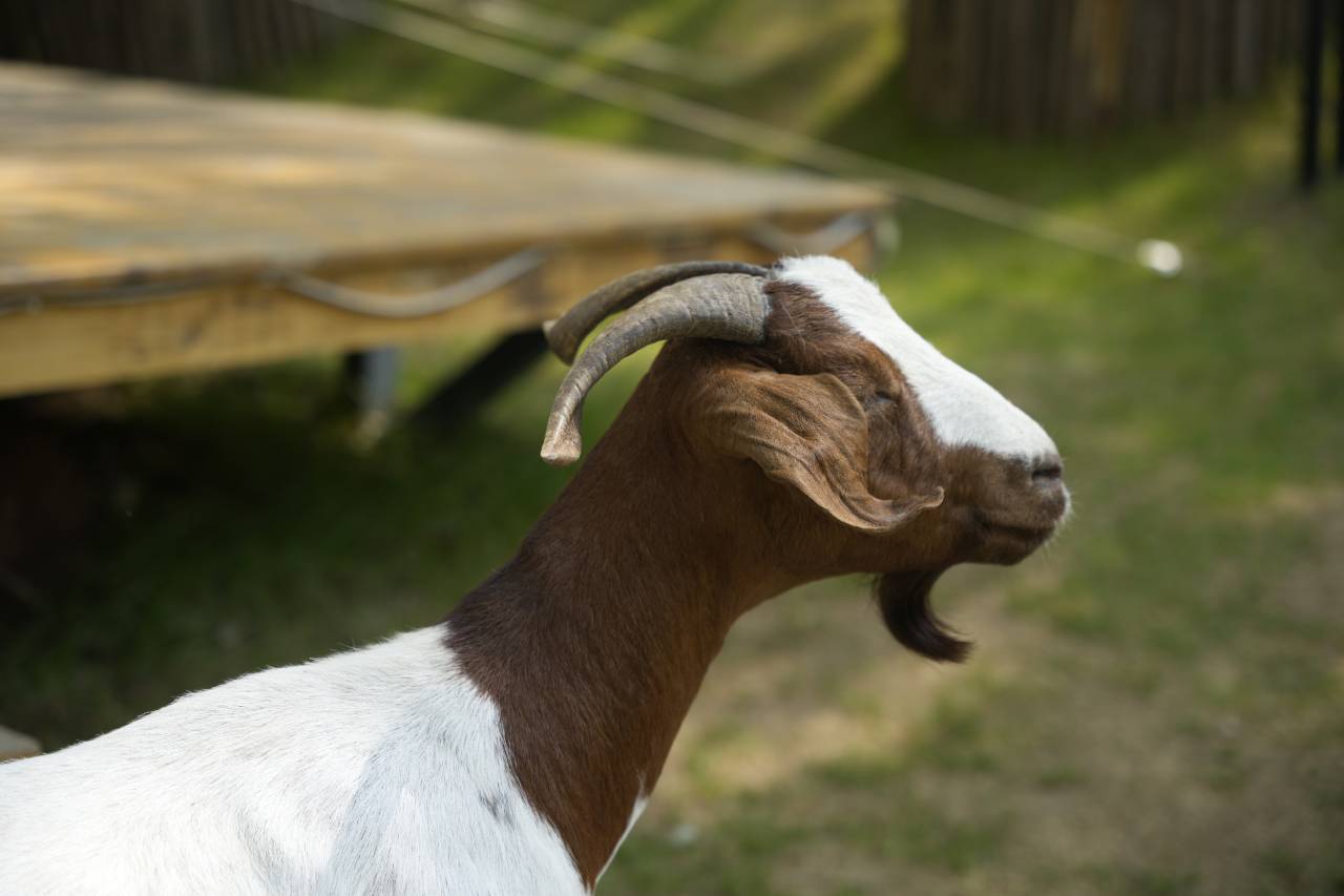 京山农场谷庄度假酒店图片