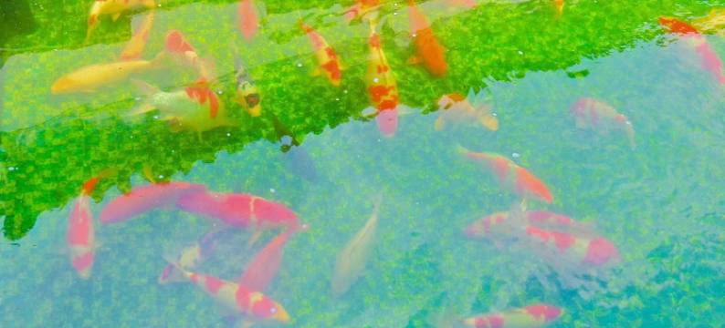 大理溪月海舍民宿图片