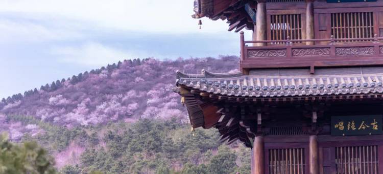 湖观酒店(太原晋祠景区店)图片