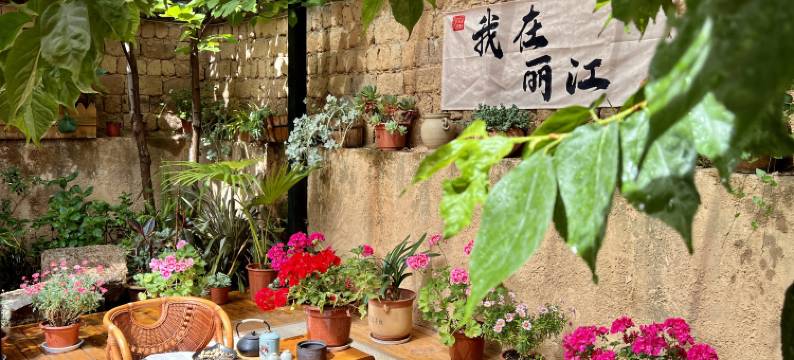 忆庭一院客栈(丽江束河古镇店)图片