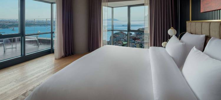 伊斯坦布尔塔克西姆索菲特酒店(Sofitel Istanbul Taksim)图片