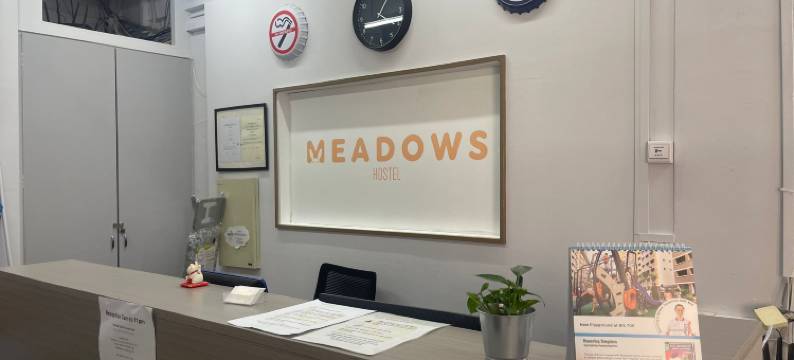 草甸青年旅馆(Meadows Hostel)图片