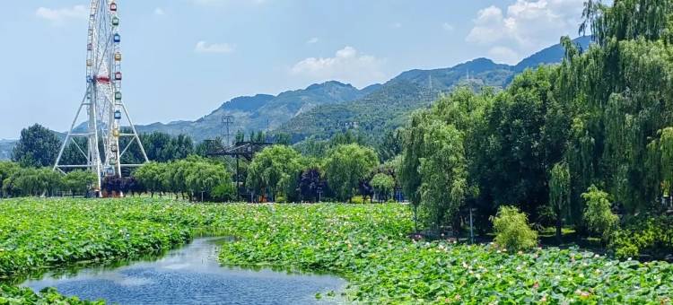 花筑·棣花古镇荷塘畔民宿图片