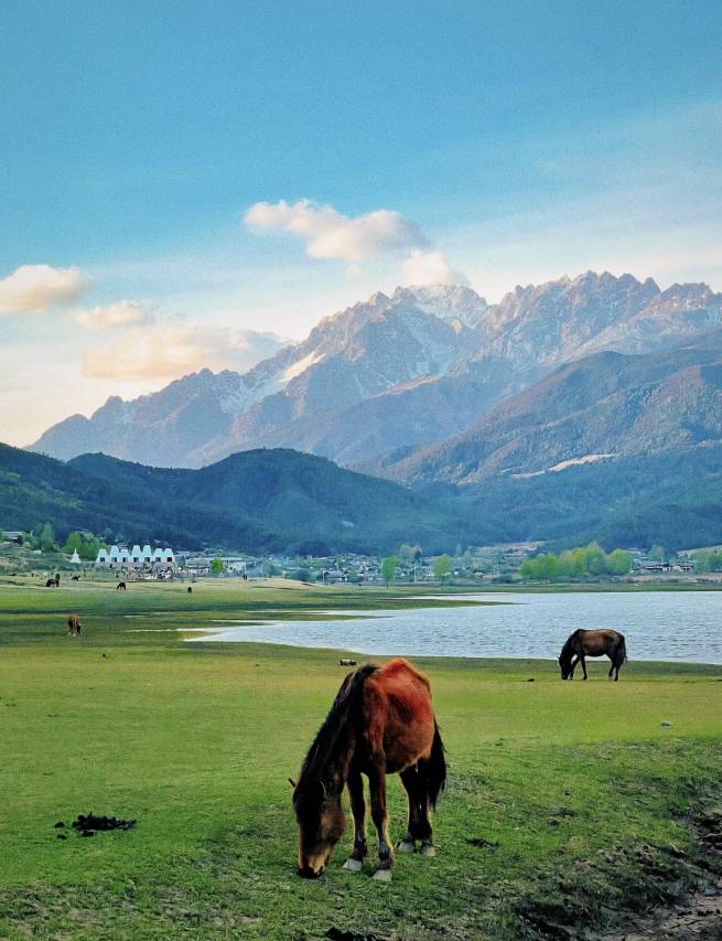丽思漫•溯野雪山野奢度假酒店图片