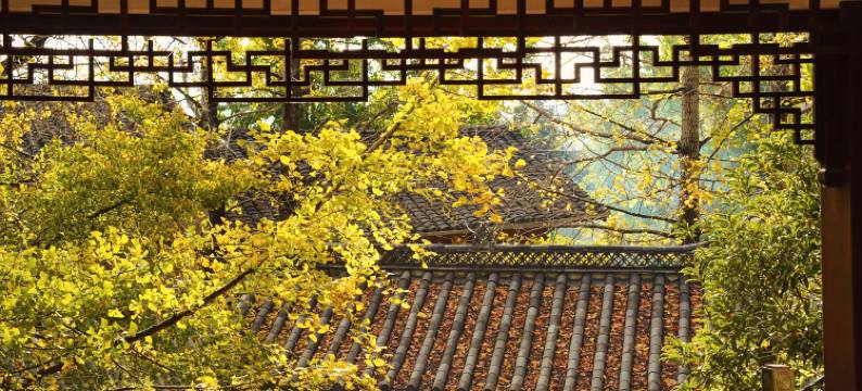 腾冲一画·精品民宿图片