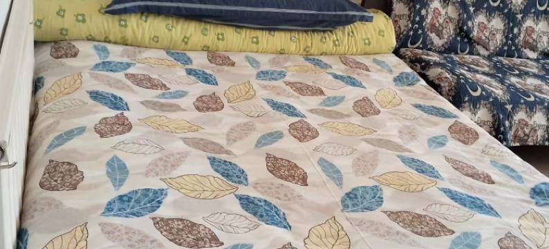 伊春半山渡民宿图片