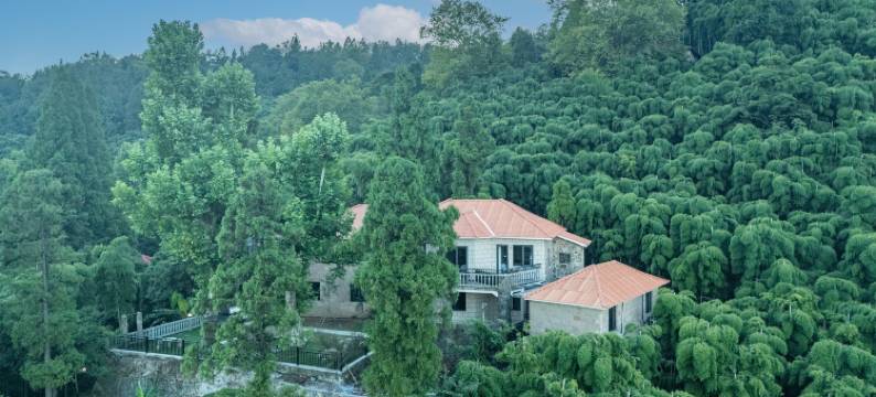 林墅酒店(莫干山景区内荫山街换乘处店)图片