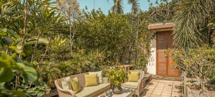 倾慕·科伦坡(Ishq Colombo)图片