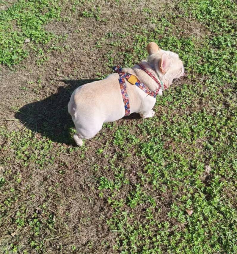 花筑·衢州云谷雅舍民宿图片