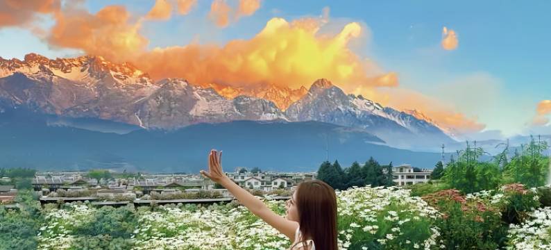 大花猫·花海治愈系·浪漫主义设计花苑民宿(丽江古城四方街店)图片