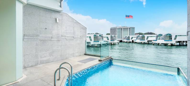 丽昇大红花(Lexis Hibiscus Port Dickson)图片