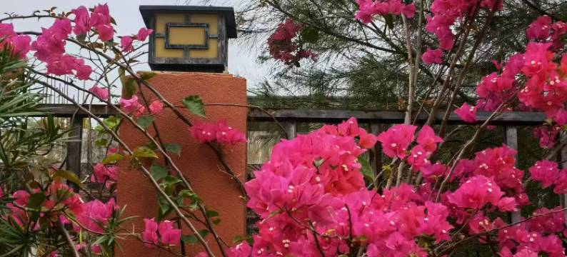 志宏假日公寓图片