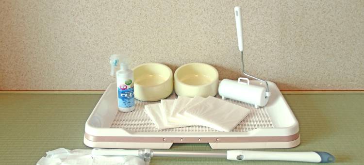 南纪白滨汪汪乐园(Nanki Shirahama Wan Wan Paradise Hotel)图片