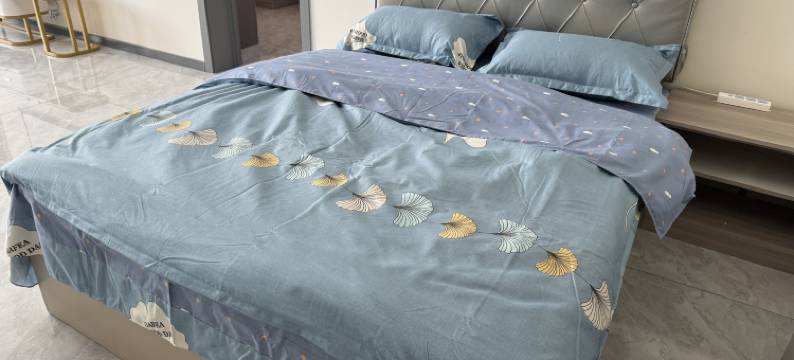 抚远蓝舍民宿图片