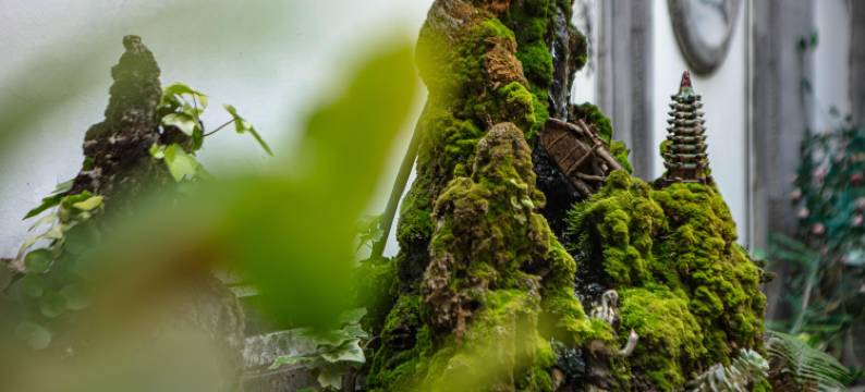 大理古城人民路花照影客栈图片