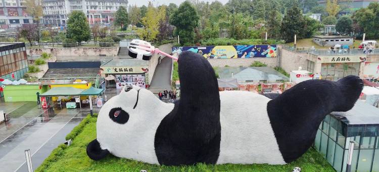 他她青年旅店图片