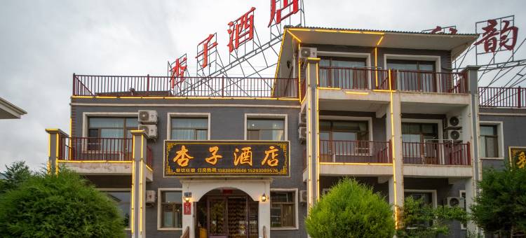 杏子酒店图片