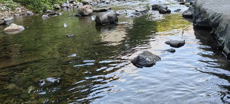 安吉山溪山舍民宿图片