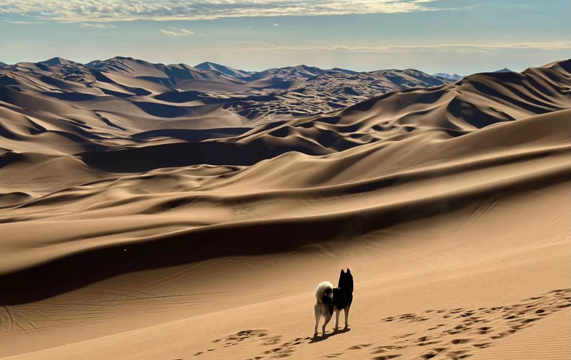 焰火小镇|Firevale·待花谷泳池度假庄园(葡萄沟风景区店)图片