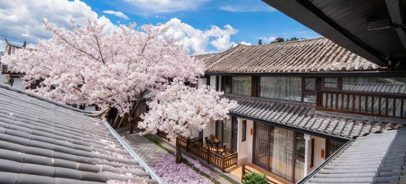 柏呈雪山酒店(丽江古城中心木府店)图片