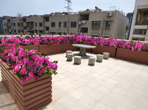 成功大酒店(厦门高崎机场SM广场店)图片