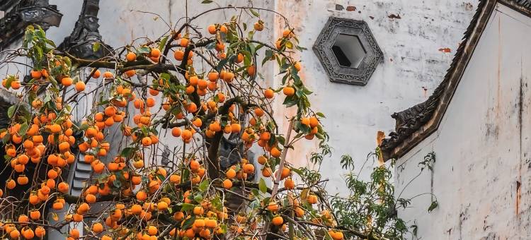 秋语云栖·Villa设计美宿(晒秋观景台篁岭风景区店)图片