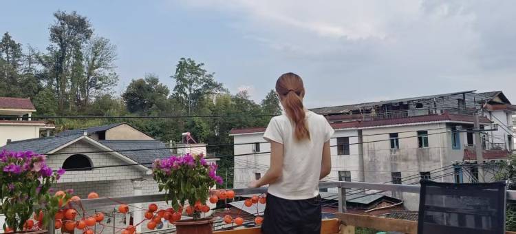 清逸山馆图片
