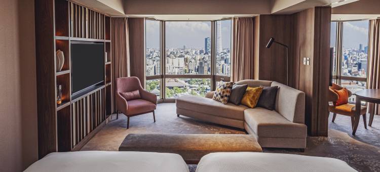 东京浅草豪景酒店(Asakusa View Hotel)图片