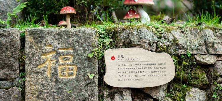 雲亼·曙光里图片