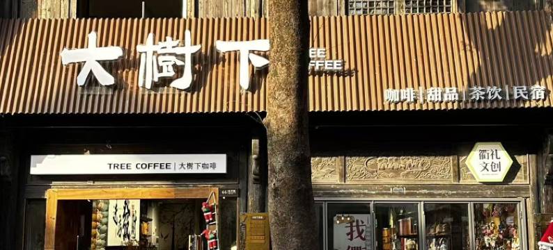 衢州大树下民宿(水亭门景区店)图片