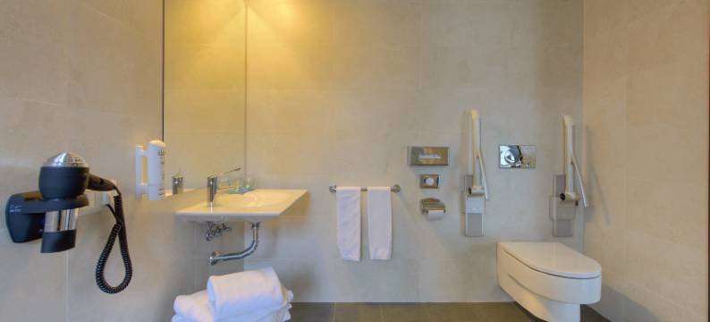 哥多华梅迪纳阿扎哈拉斯考特尔酒店(Sercotel Córdoba Medina Azahara)图片