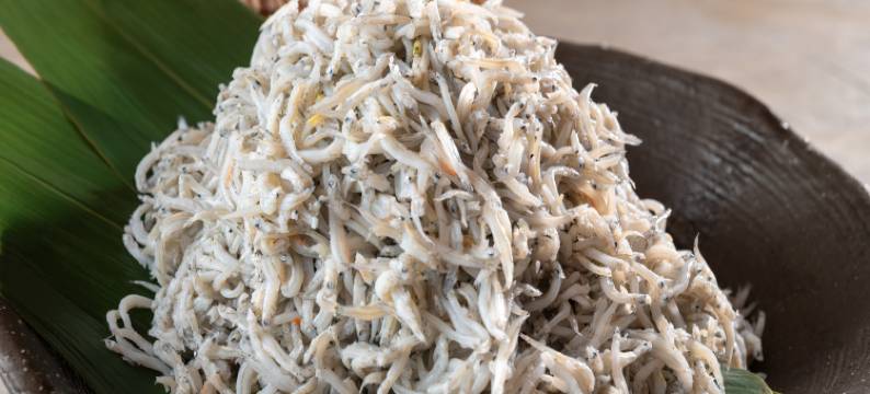 WAN WAN 宠物度假天堂 浜名湖(Wan Wan Paradise Hamanako)图片