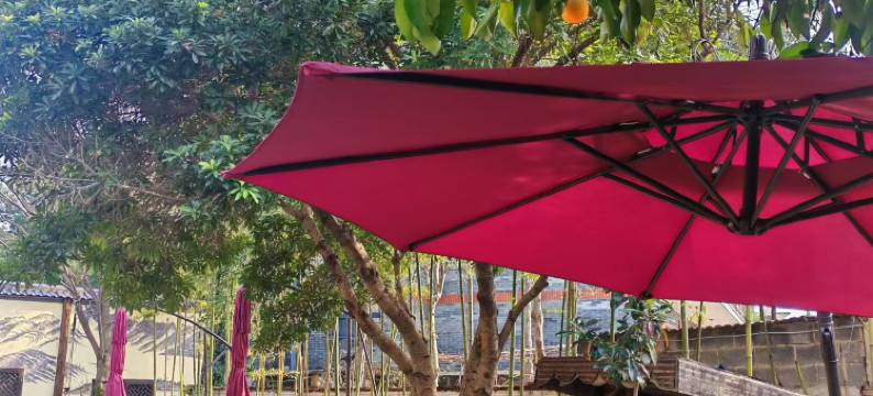 竹舍精品民宿(莫干山庾村广场店)图片