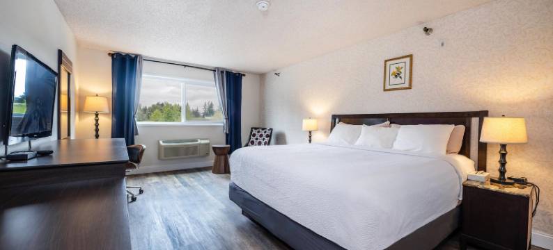 国际酒店(Hotel International)图片