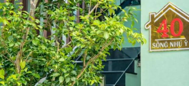 Victoria Hostel图片